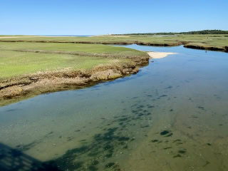 Salt Marsh, East Sandwich